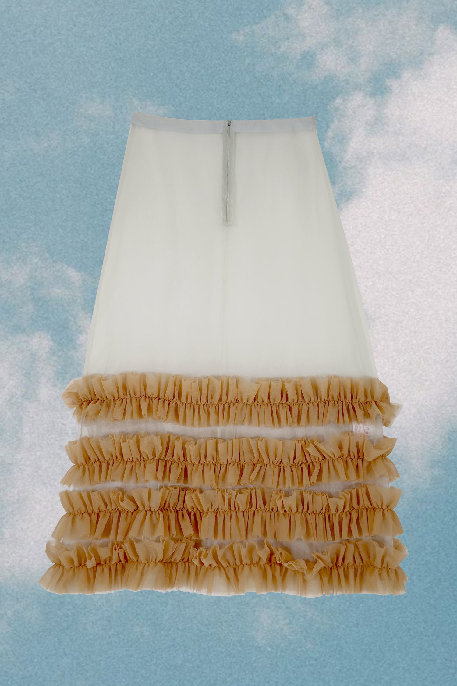 Sheer Ruffle Skirt