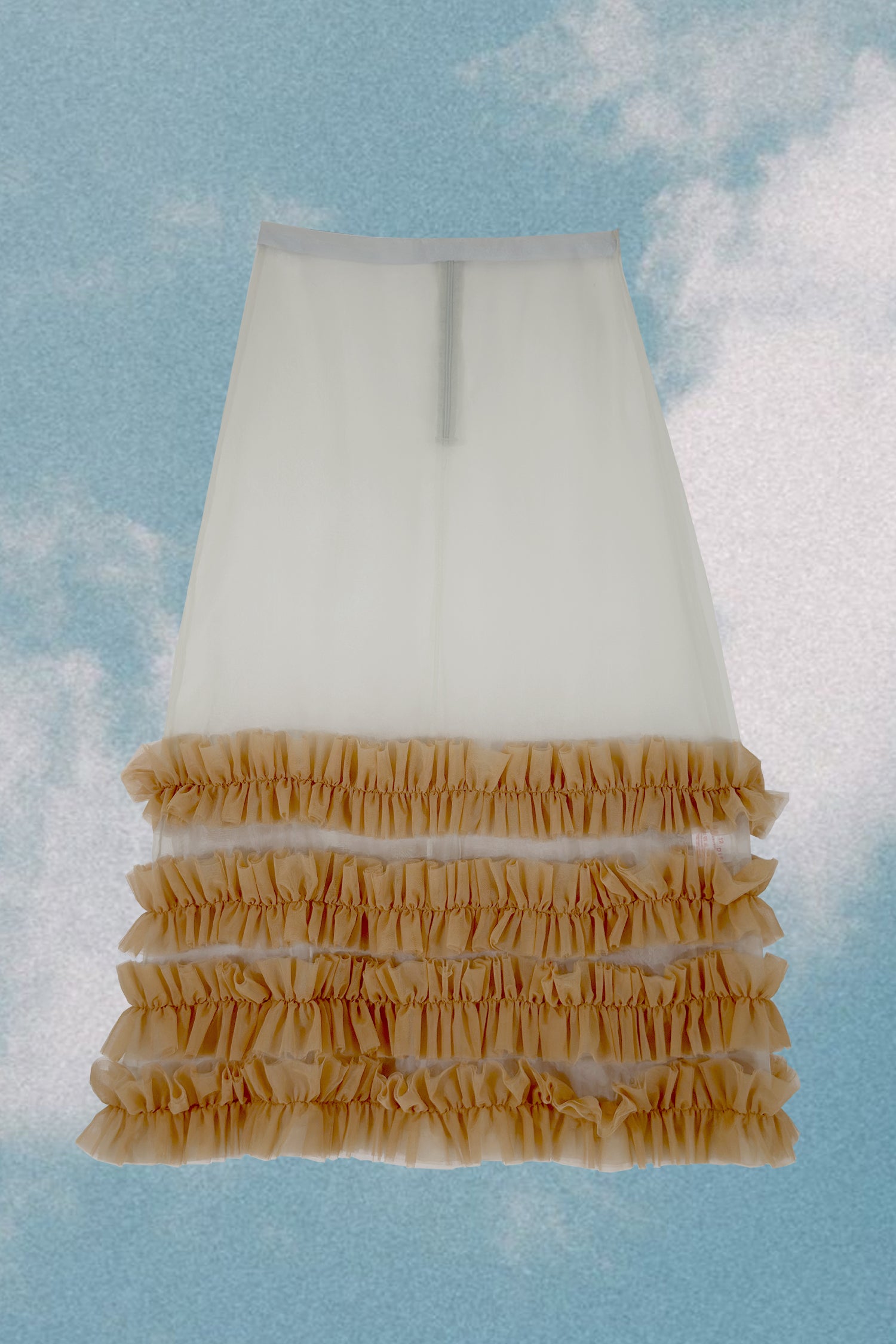 Sheer Ruffle Skirt